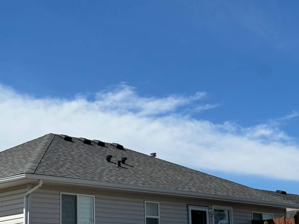 Fast & Reliable Emergency Roof Repairs in Potomac, MD